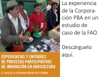 Caso PBA FAO