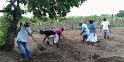 Agricultores familiares líderes a favor del sí
