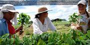 Prácticas culturales en el campo invisibilizan rol de mujer rural