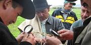 Producción sostenible de arveja en Boyacá 