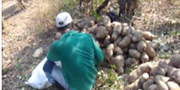Videoreportaje: El núcleo de Innovación Participativa de Arroyo Negro