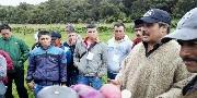 Intercambio de experiencias entre productores rurales de Nariño y Boyacá